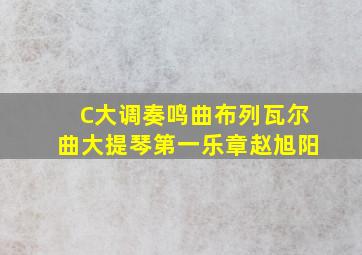 C大调奏鸣曲布列瓦尔曲大提琴第一乐章赵旭阳