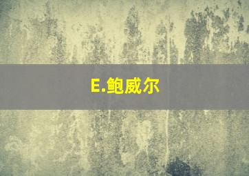 E.鲍威尔