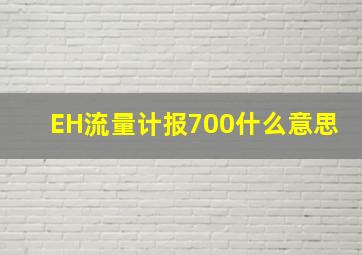 EH流量计报700什么意思