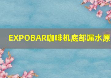 EXPOBAR咖啡机底部漏水原因