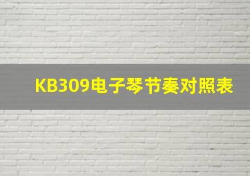 KB309电子琴节奏对照表