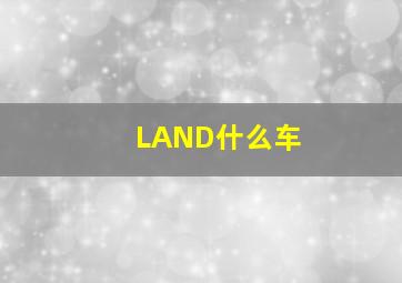 LAND什么车