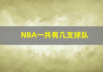 NBA一共有几支球队