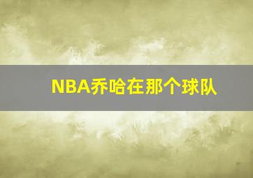 NBA乔哈在那个球队