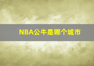 NBA公牛是哪个城市