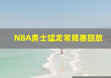 NBA勇士猛龙常规赛回放