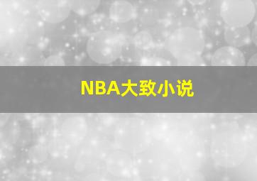 NBA大致小说