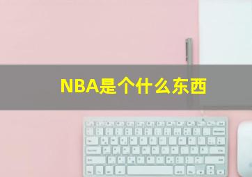 NBA是个什么东西