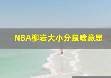 NBA柳岩大小分是啥意思