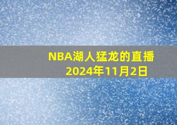 NBA湖人猛龙的直播2024年11月2日