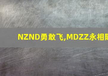 NZND勇敢飞,MDZZ永相随