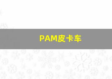 PAM皮卡车