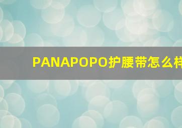 PANAPOPO护腰带怎么样