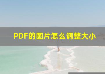 PDF的图片怎么调整大小