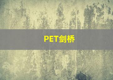 PET剑桥