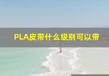 PLA皮带什么级别可以带