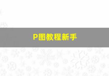 P图教程新手