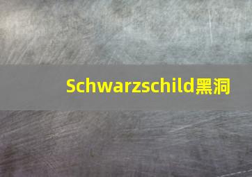 Schwarzschild黑洞