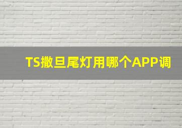 TS撒旦尾灯用哪个APP调