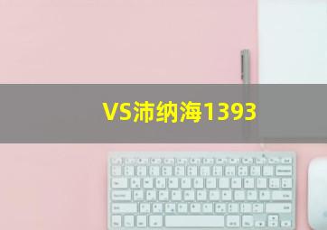 VS沛纳海1393