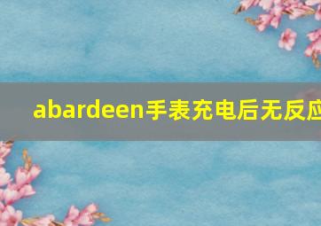 abardeen手表充电后无反应