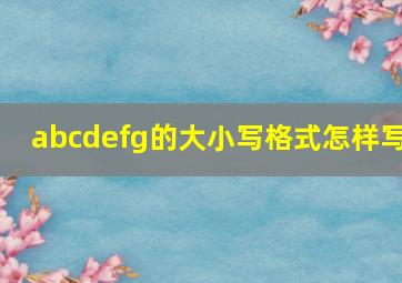 abcdefg的大小写格式怎样写