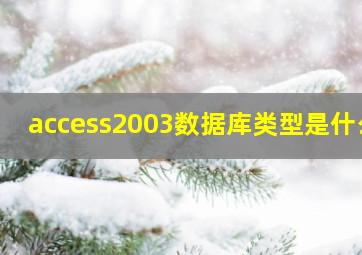 access2003数据库类型是什么