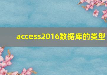 access2016数据库的类型