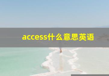 access什么意思英语