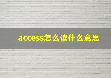 access怎么读什么意思