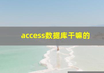 access数据库干嘛的