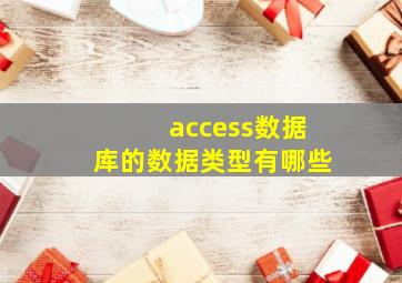 access数据库的数据类型有哪些