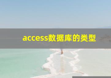 access数据库的类型