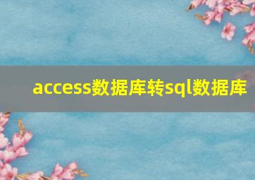 access数据库转sql数据库