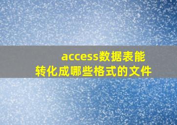 access数据表能转化成哪些格式的文件