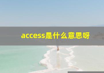 access是什么意思呀