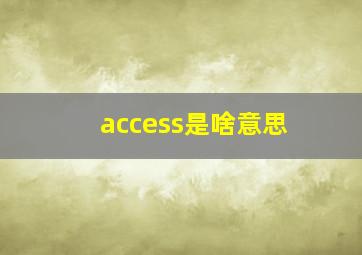 access是啥意思