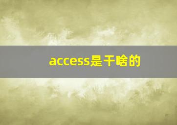 access是干啥的