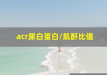 acr尿白蛋白/肌酐比值