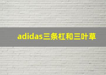 adidas三条杠和三叶草