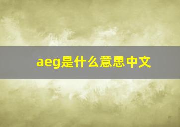 aeg是什么意思中文