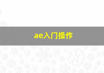 ae入门操作