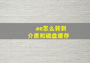 ae怎么转到介质和磁盘缓存