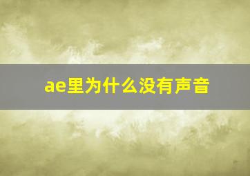 ae里为什么没有声音