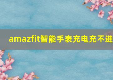 amazfit智能手表充电充不进