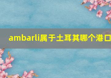 ambarli属于土耳其哪个港口