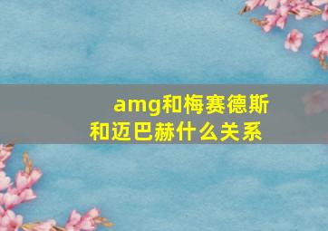 amg和梅赛德斯和迈巴赫什么关系