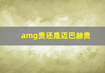 amg贵还是迈巴赫贵