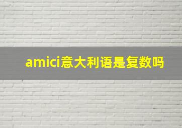 amici意大利语是复数吗