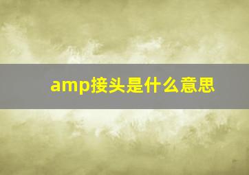 amp接头是什么意思